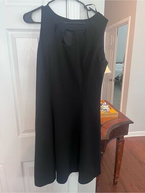 Classic Black Sleeveless A-Line Dress